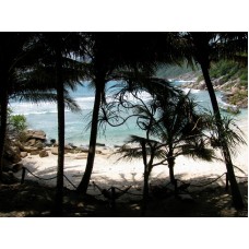 Transfer from Jerantut to Kota Bahru